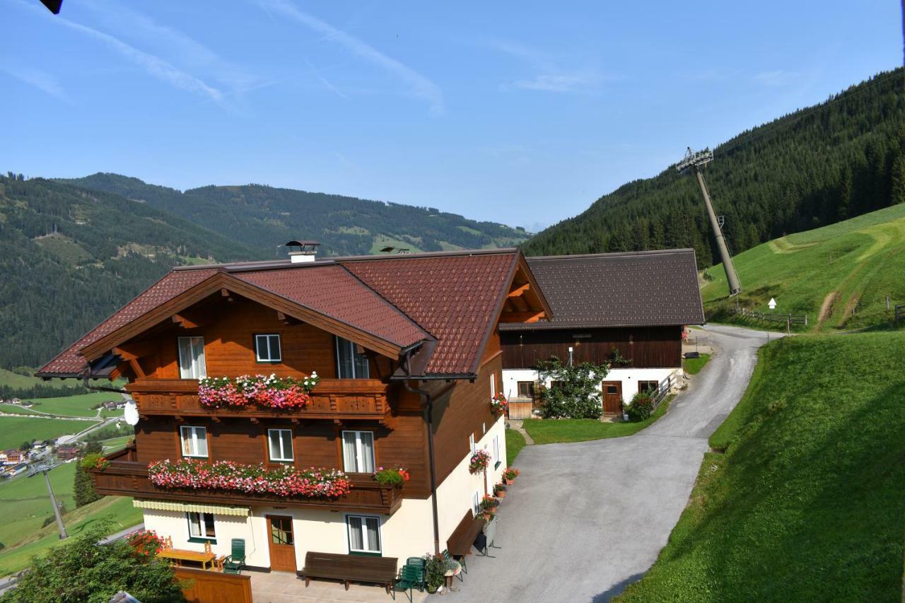 Vorderstuhlhof Apartment Kleinarl Luaran gambar